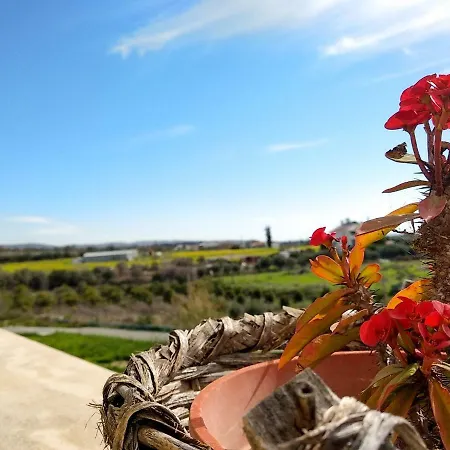 With Elegance In Timi Paphos